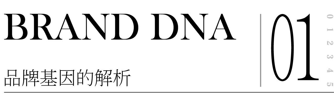 97616237.jpg